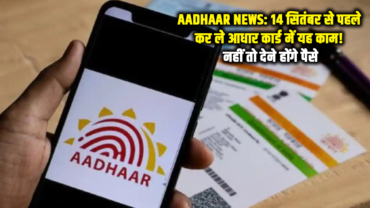 Free Aadhaar Update